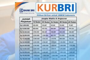 Cara Cek Angsuran KUR BRI