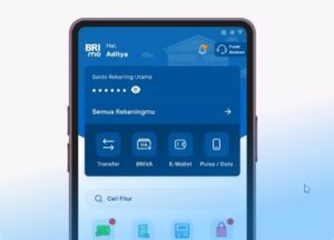 Cara TF BRI ke DANA