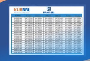 Cara Bayar KUR BRI Lewat Bank Lain