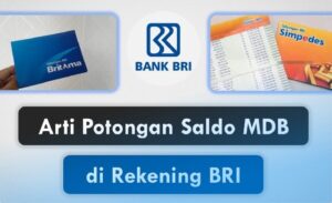Cara Menonaktifkan MDB Asuransi BRI
